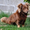 Rutka Rutka